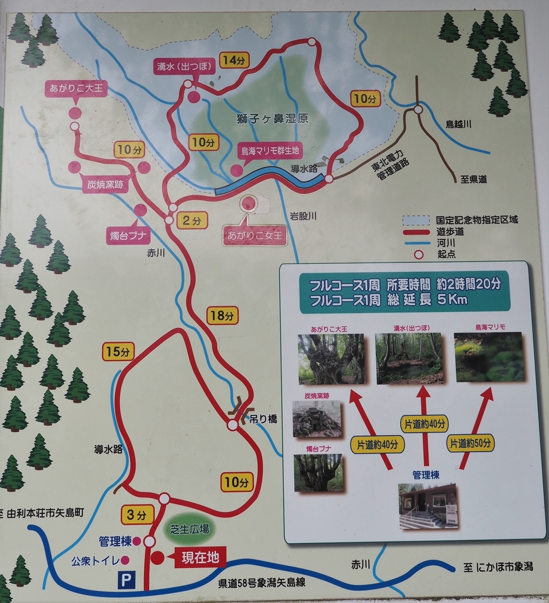 f:id:pft78526:20210523161445j:plain