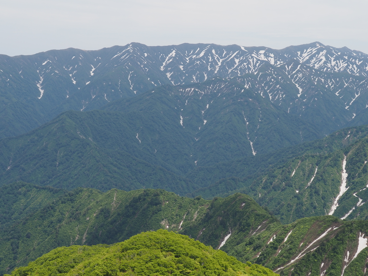 f:id:pft78526:20210612152533j:plain