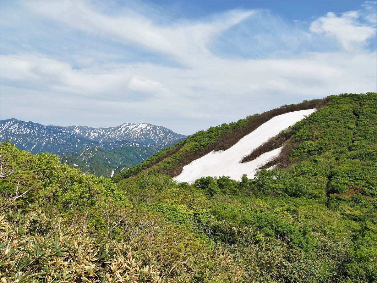 f:id:pft78526:20210612152711j:plain