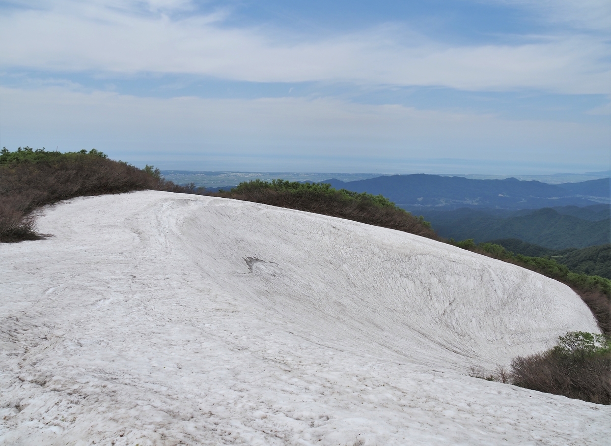 f:id:pft78526:20210612153001j:plain