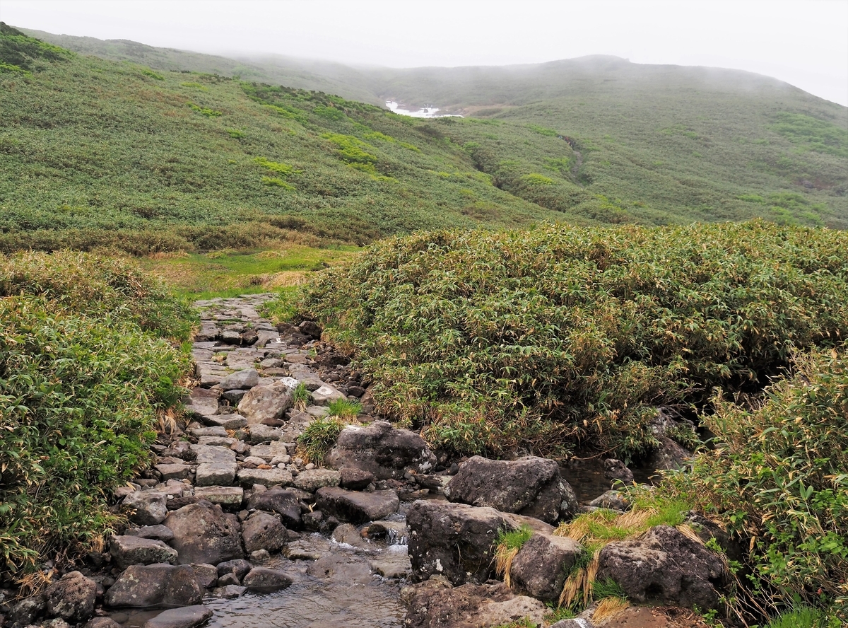 ◇'21/06/26 鳥海山②…賽の河原～外輪・千蛇谷分岐 - THANKS TO YOU !!!