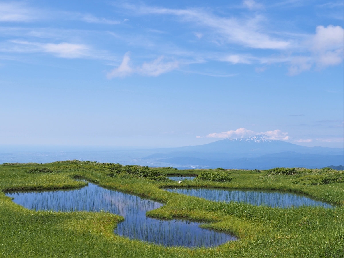 f:id:pft78526:20210707194307j:plain