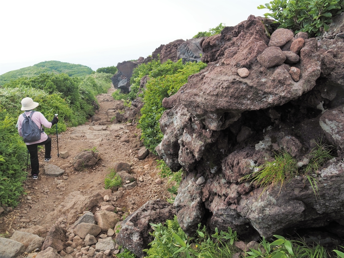 f:id:pft78526:20210721204901j:plain