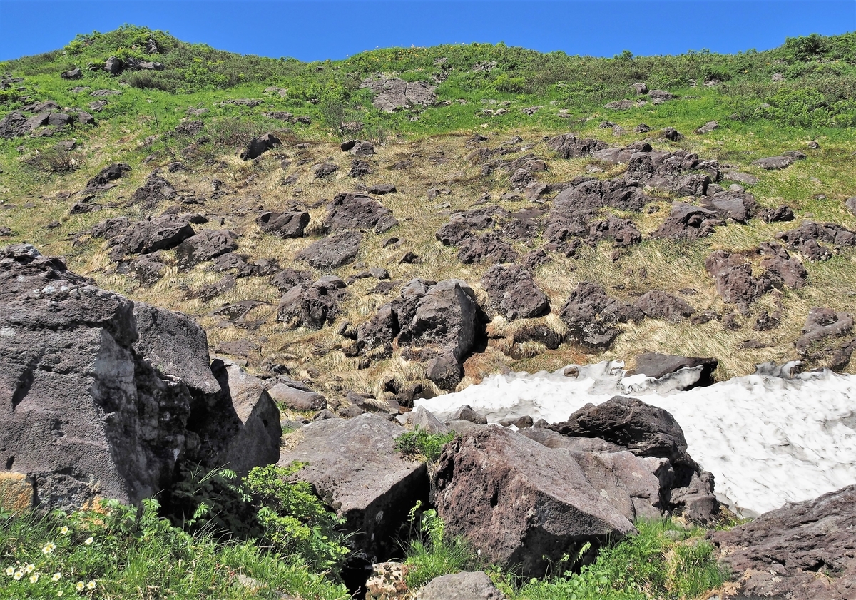 f:id:pft78526:20210725132800j:plain