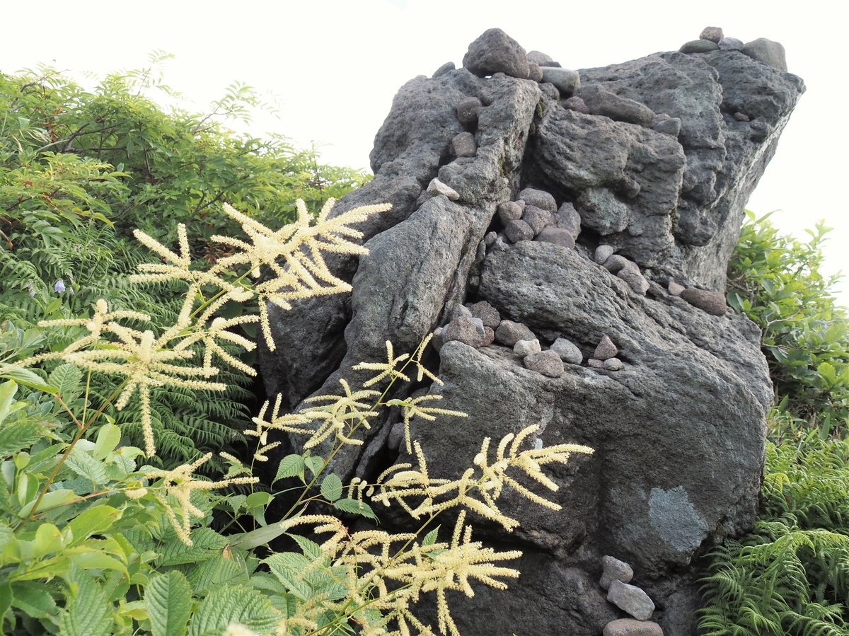 f:id:pft78526:20210727120116j:plain