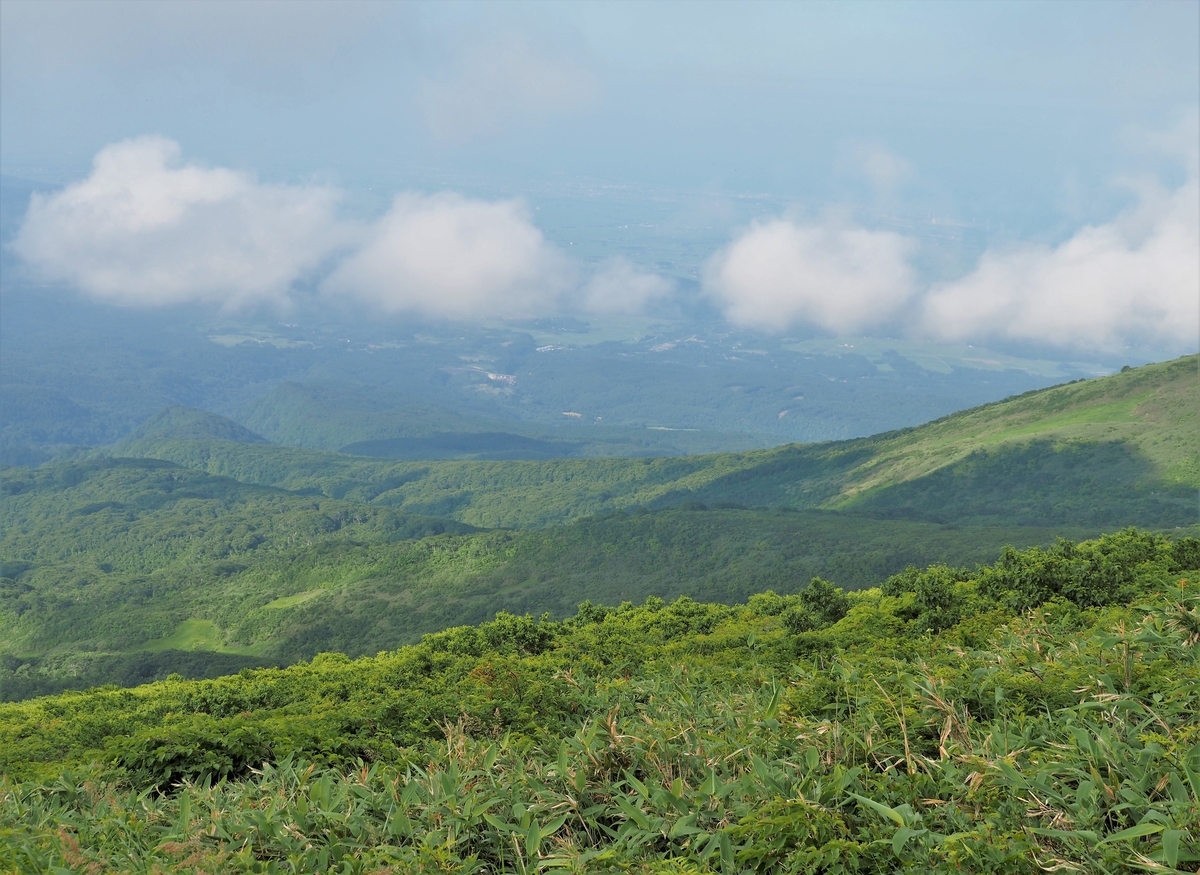 f:id:pft78526:20210727120135j:plain