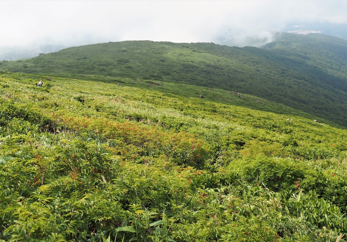 f:id:pft78526:20210727120201j:plain