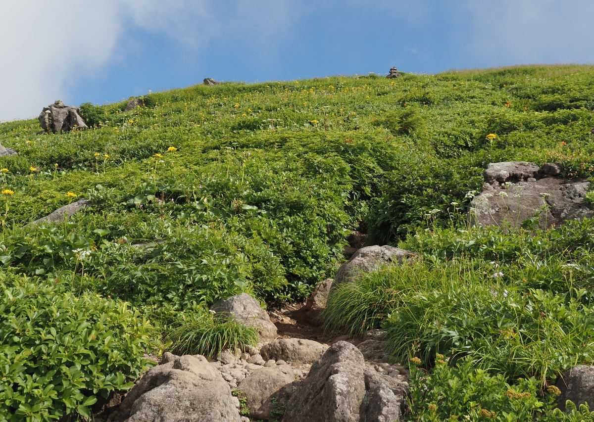 f:id:pft78526:20210727120427j:plain