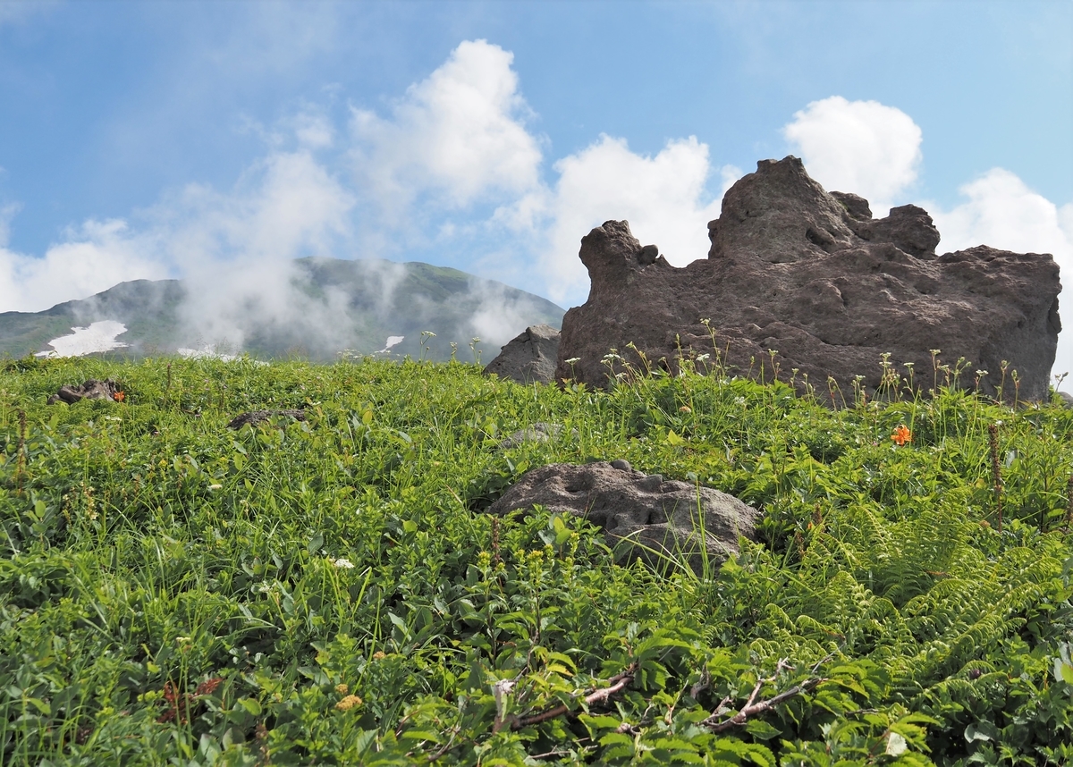 f:id:pft78526:20210727120615j:plain