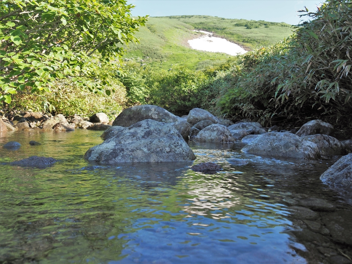 f:id:pft78526:20210801073753j:plain