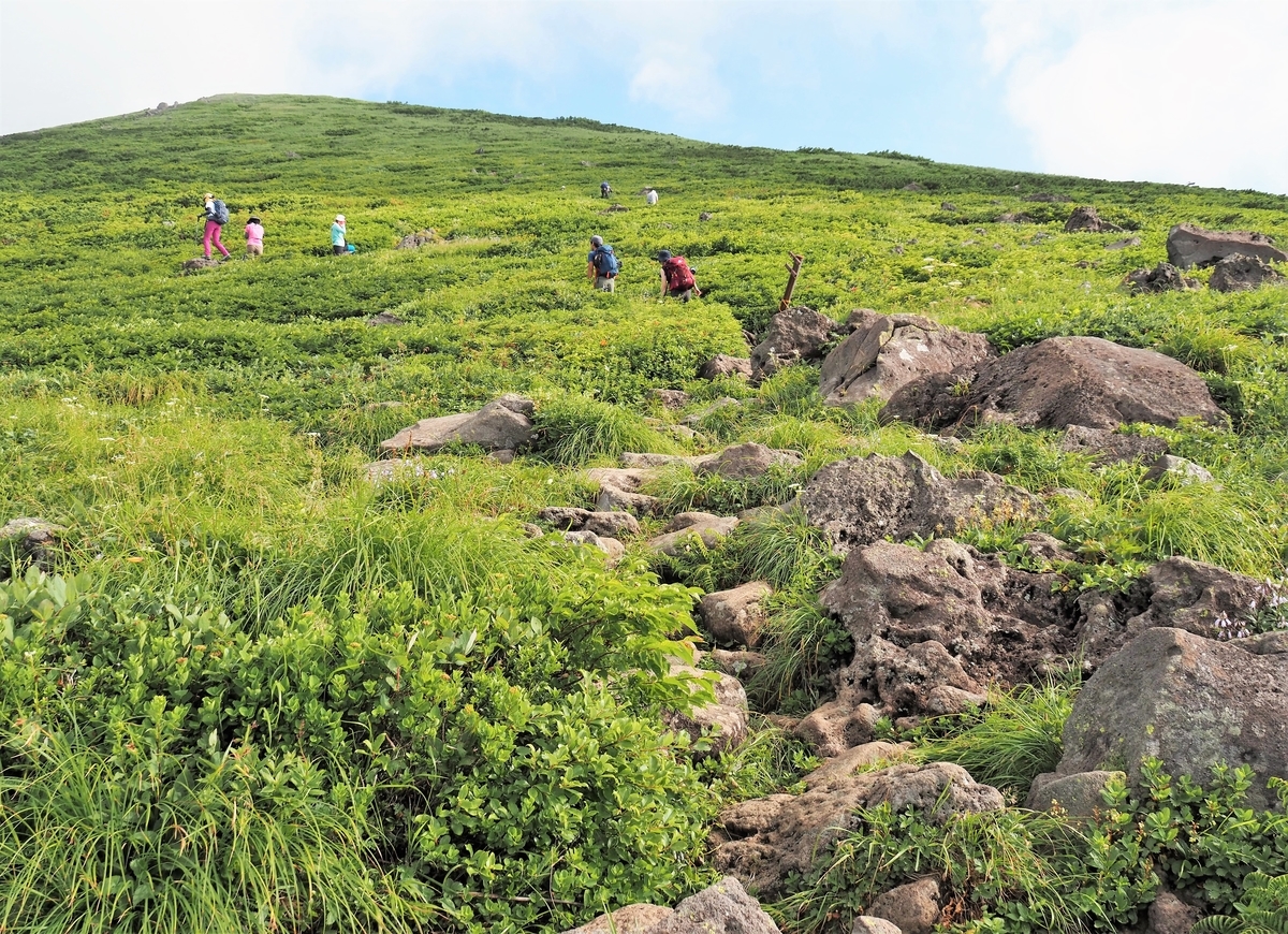 f:id:pft78526:20210801074538j:plain