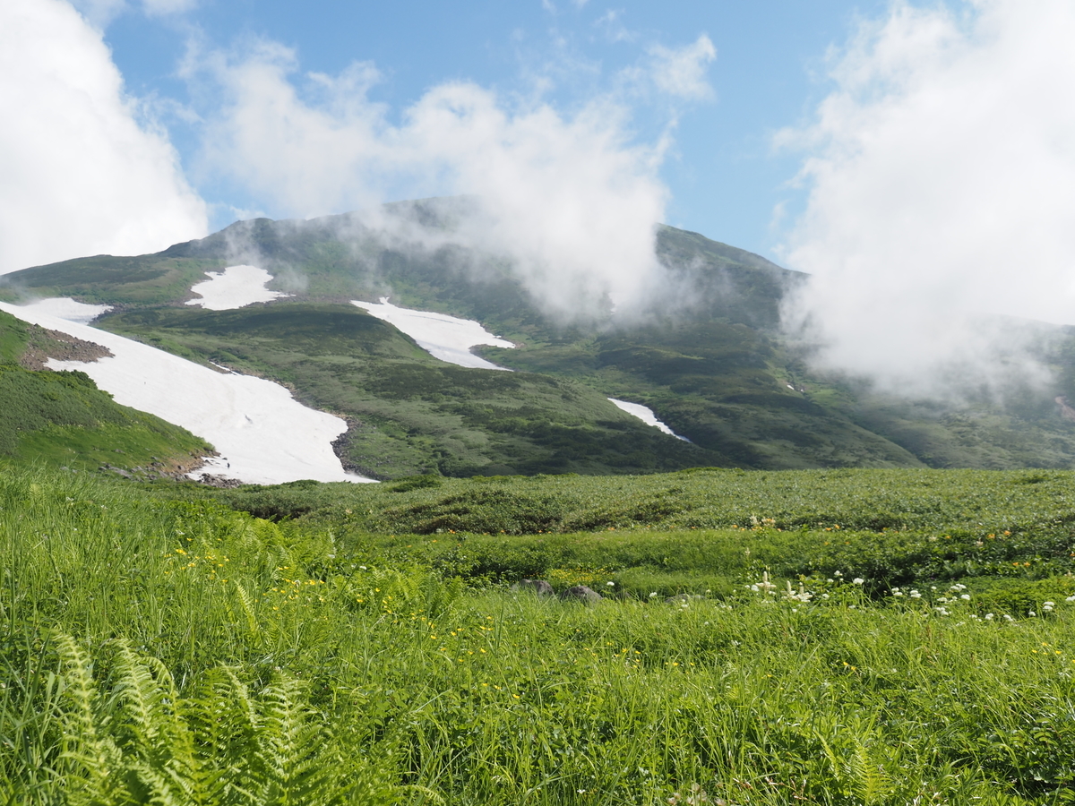 f:id:pft78526:20210801074624j:plain