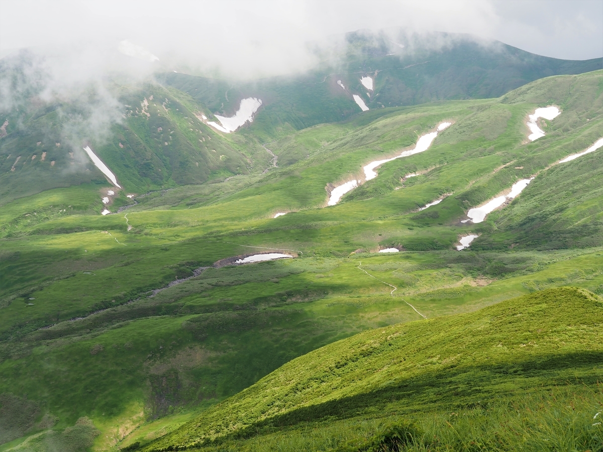 f:id:pft78526:20210801074725j:plain