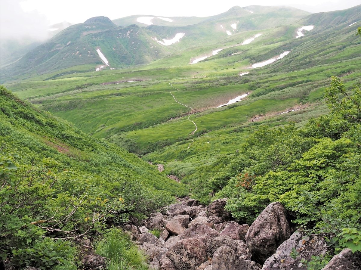 f:id:pft78526:20210801074855j:plain