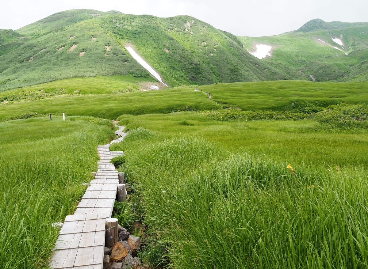 f:id:pft78526:20210801074957j:plain