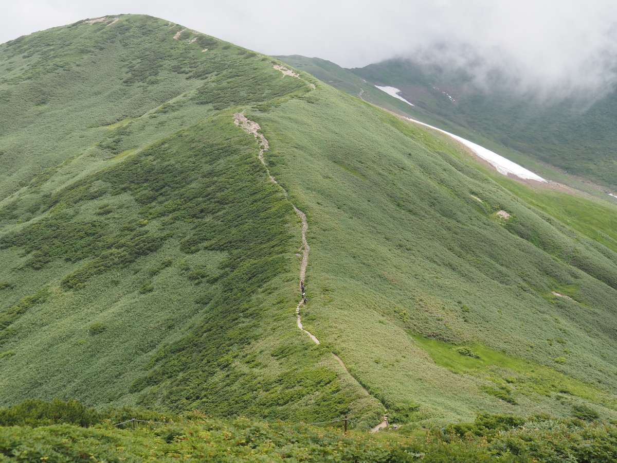 f:id:pft78526:20210801075516j:plain