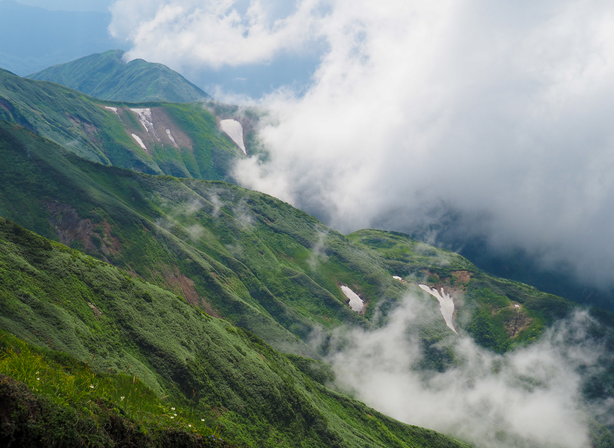 f:id:pft78526:20210805085325j:plain