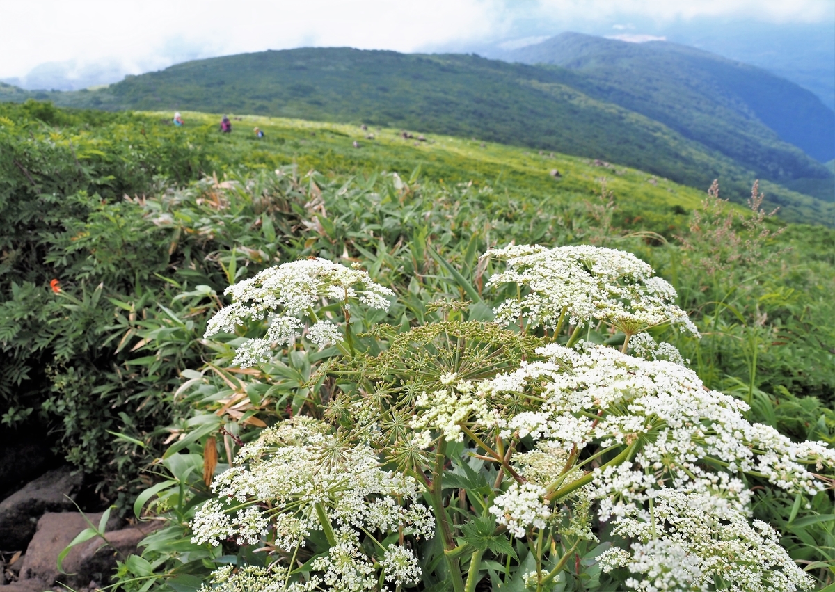 f:id:pft78526:20210812142931j:plain