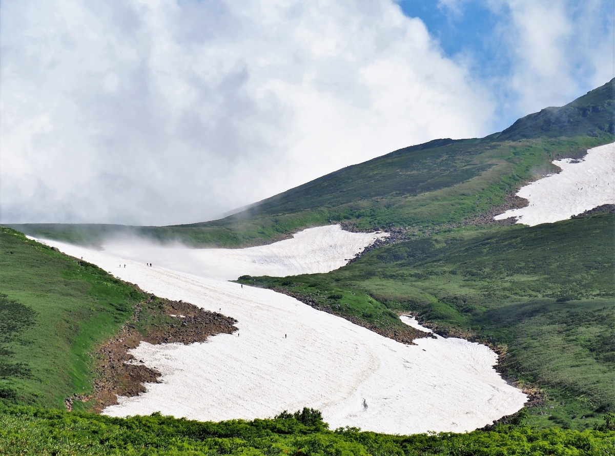 f:id:pft78526:20210812145640j:plain