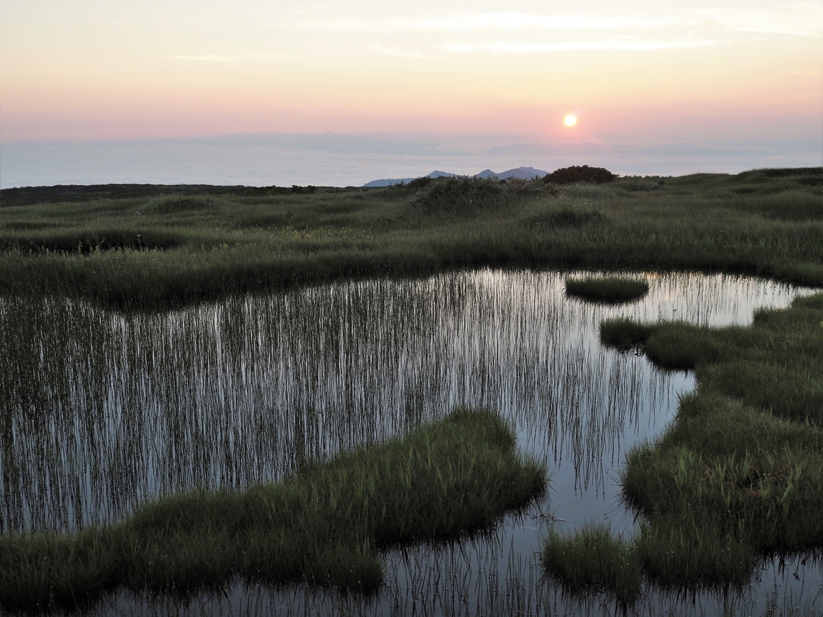 f:id:pft78526:20210814095858j:plain