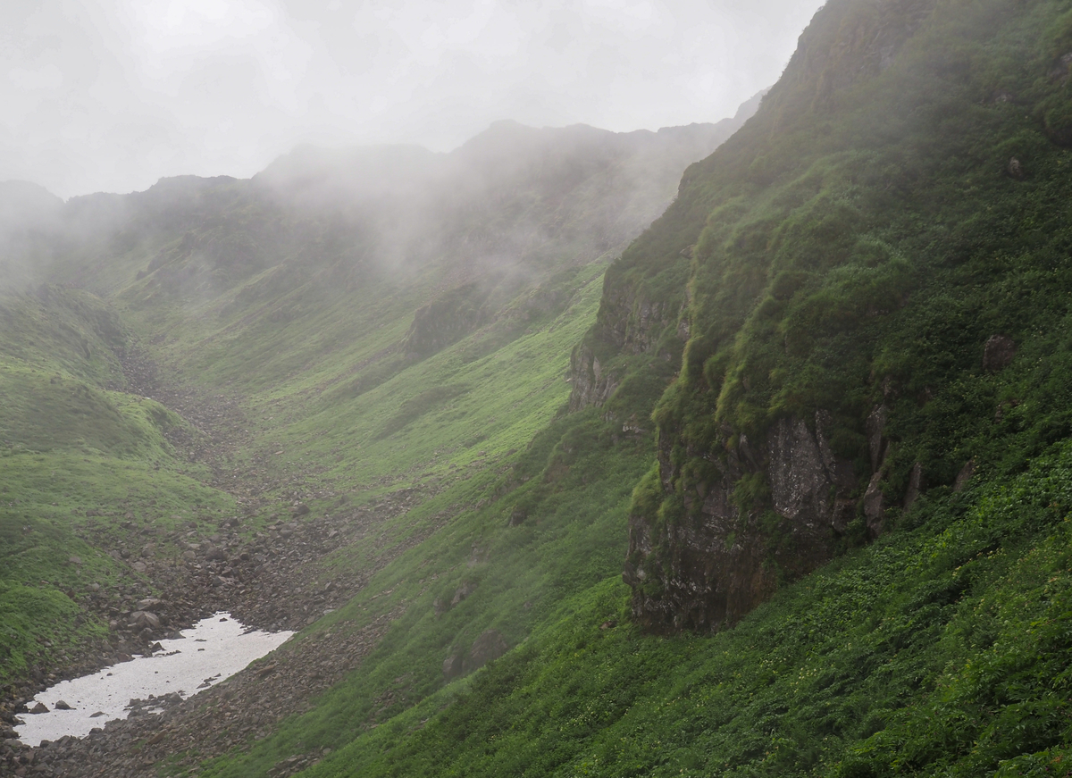 f:id:pft78526:20210819203654j:plain