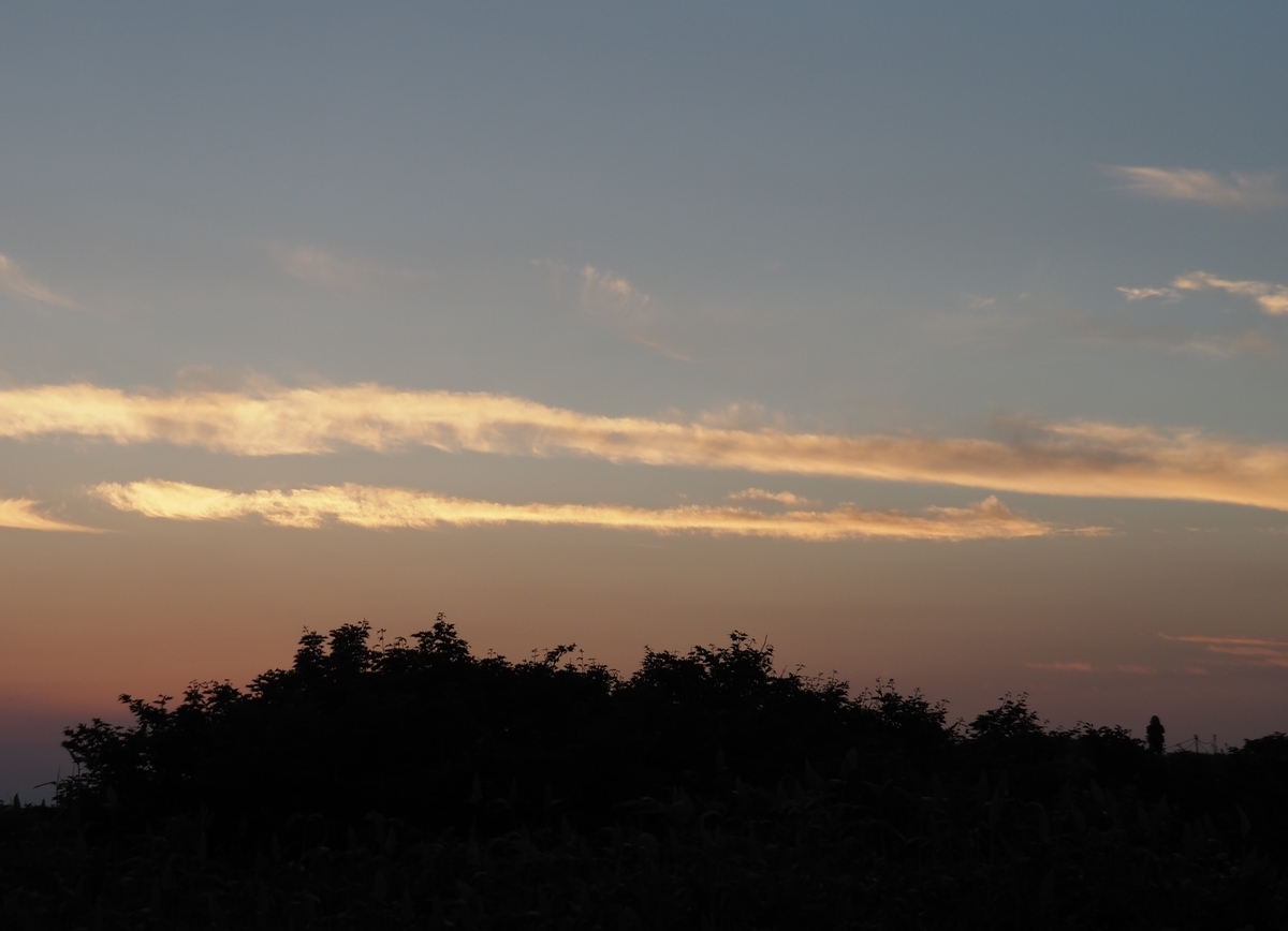 f:id:pft78526:20210820124207j:plain