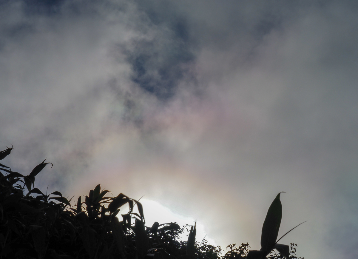f:id:pft78526:20210830210122j:plain