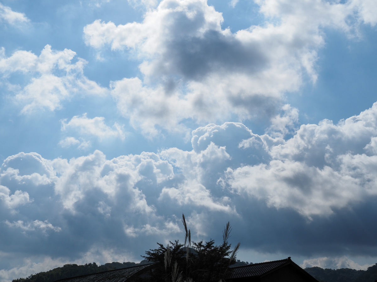 f:id:pft78526:20210905055327j:plain