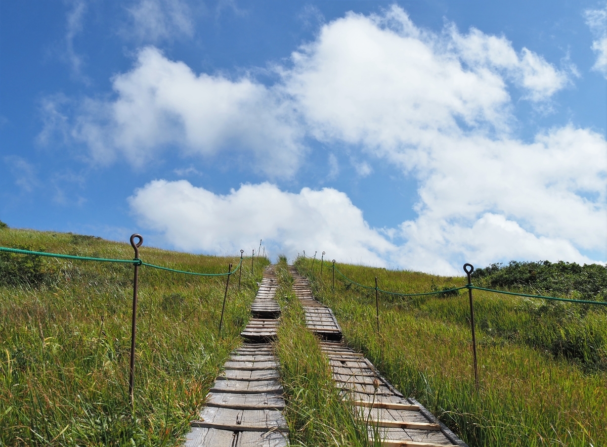 f:id:pft78526:20210905101851j:plain