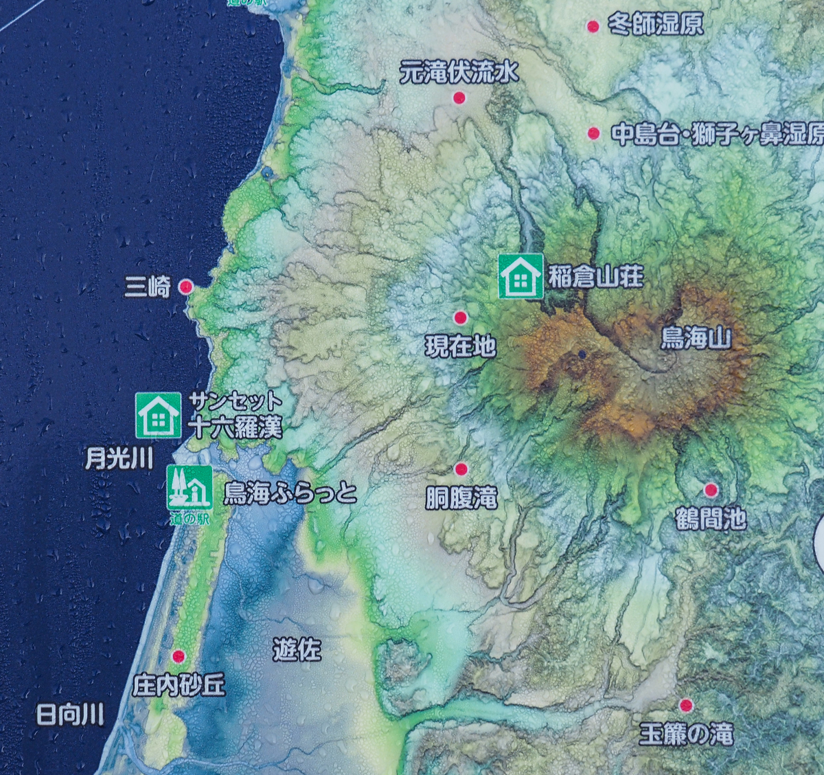 f:id:pft78526:20210908185435j:plain