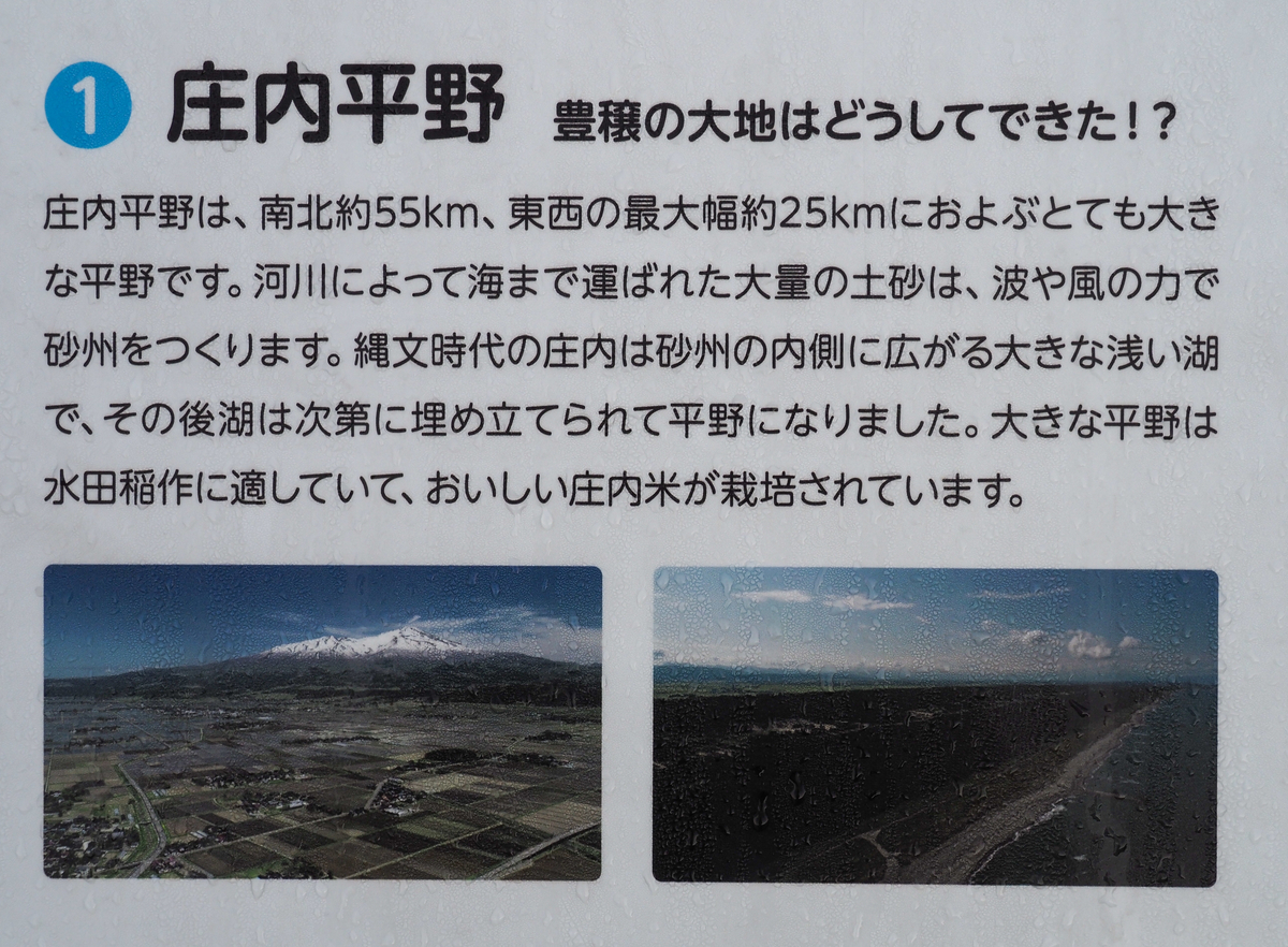 f:id:pft78526:20210908185503j:plain