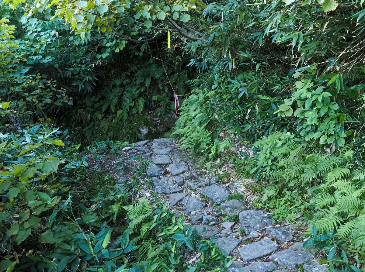 f:id:pft78526:20210909191136j:plain