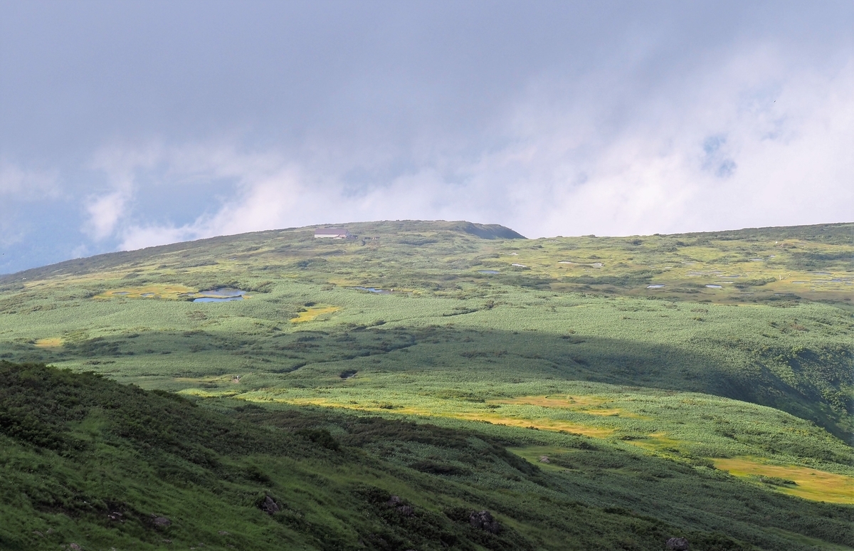 f:id:pft78526:20210911061028j:plain