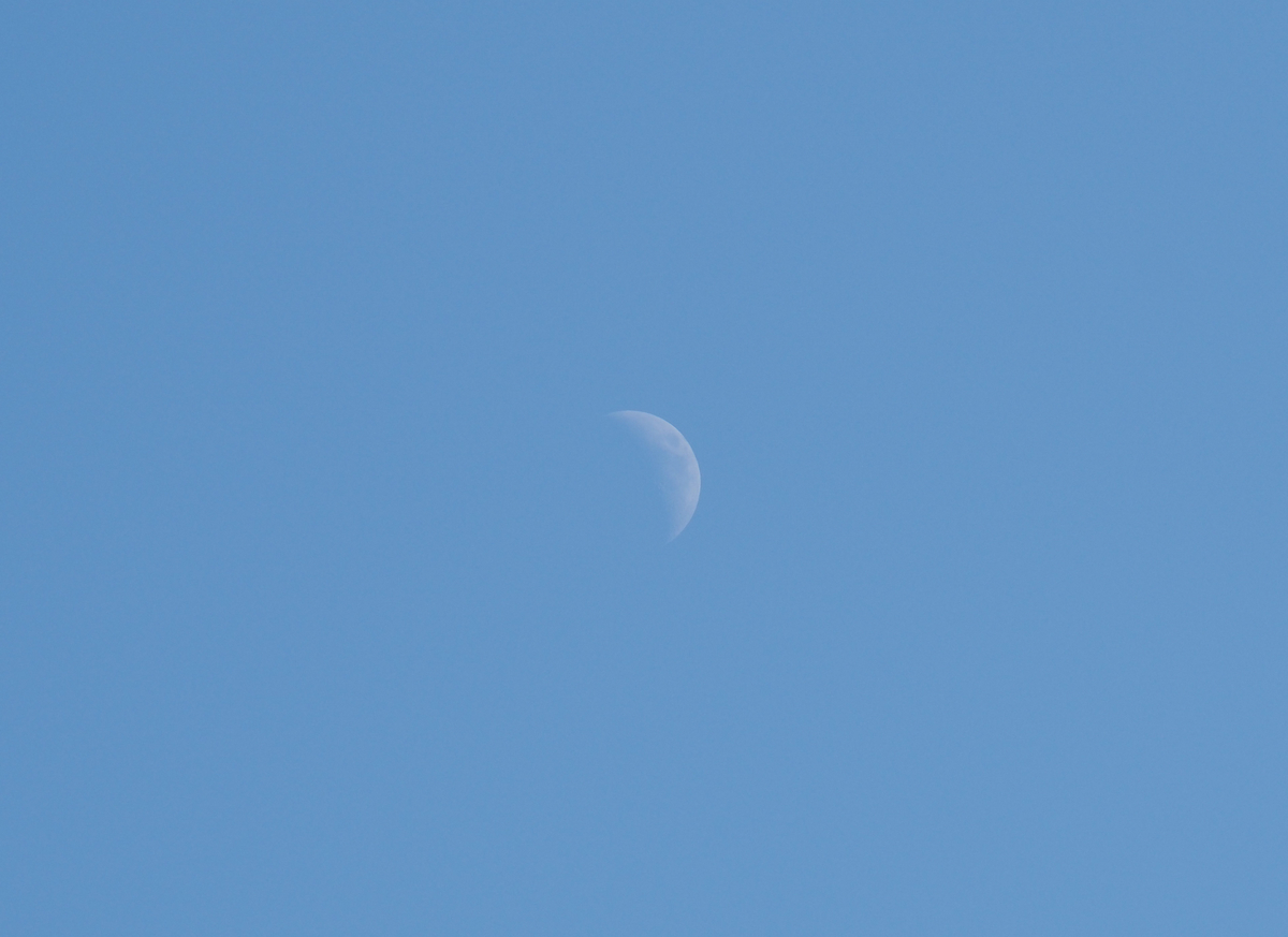 f:id:pft78526:20210918101125j:plain
