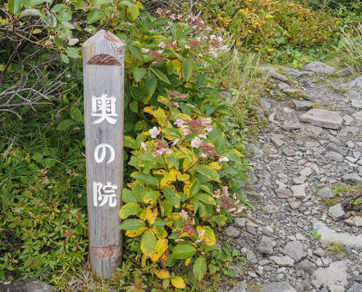 f:id:pft78526:20210928163000j:plain