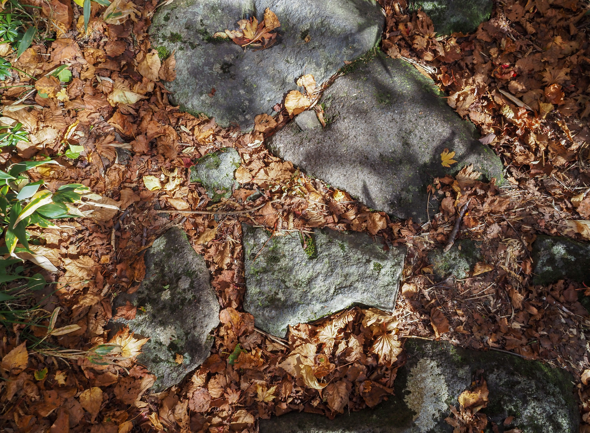 f:id:pft78526:20211016115230j:plain