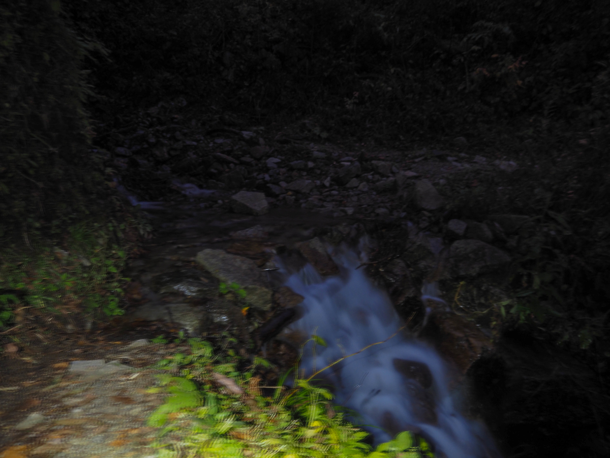 f:id:pft78526:20211105053753j:plain