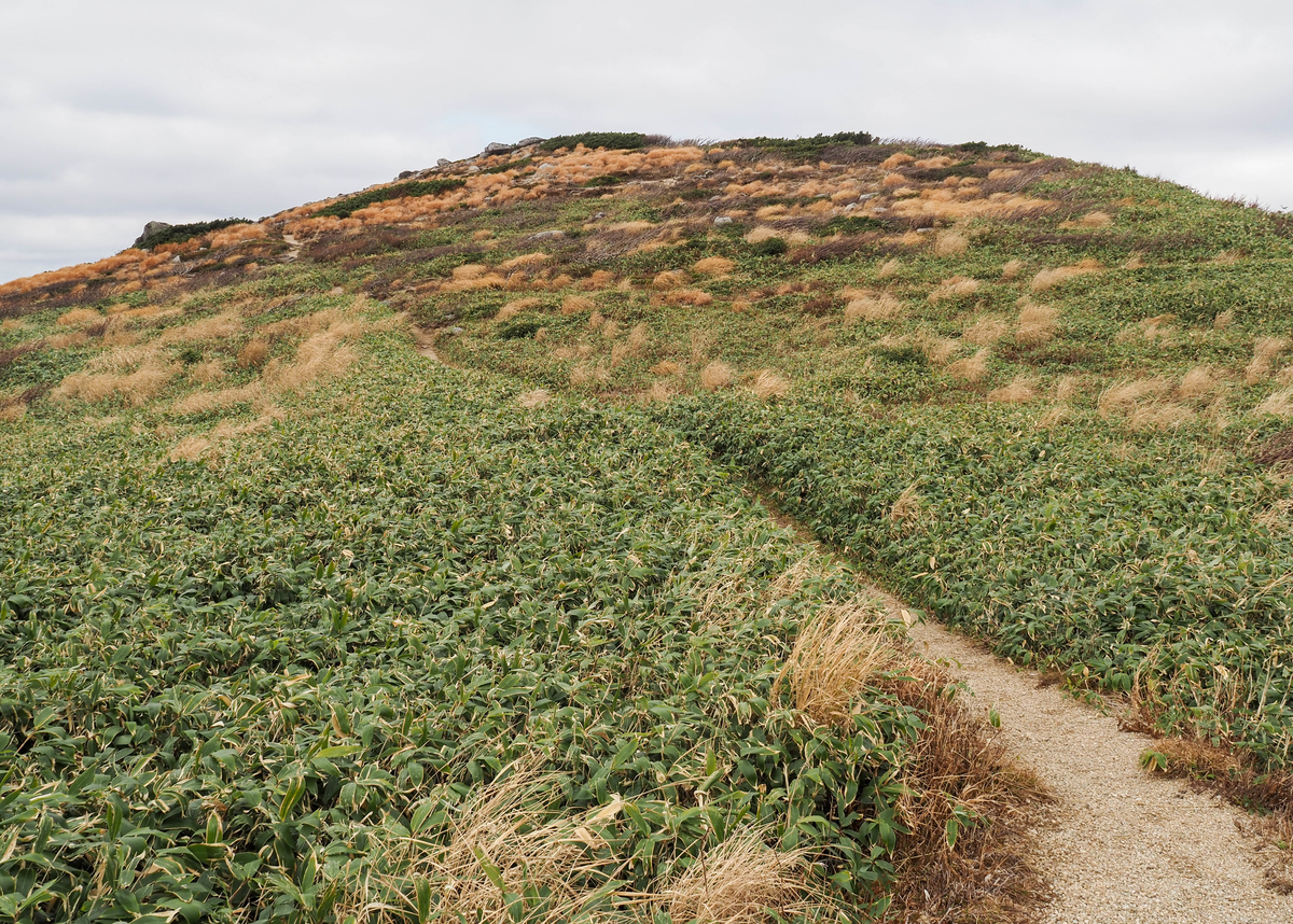 f:id:pft78526:20211105154013j:plain