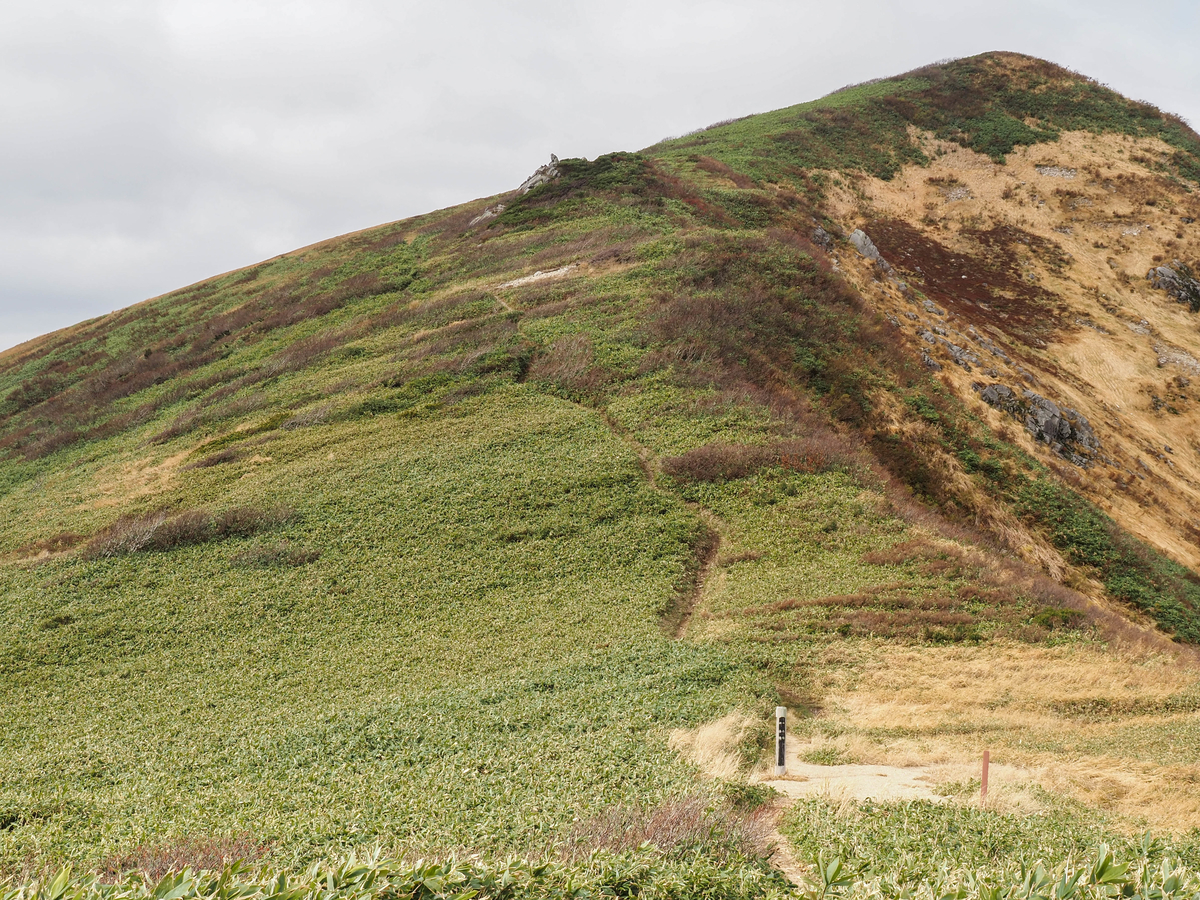 f:id:pft78526:20211105154103j:plain