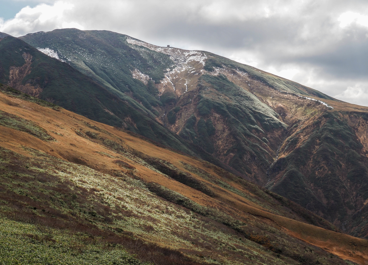 f:id:pft78526:20211105154109j:plain