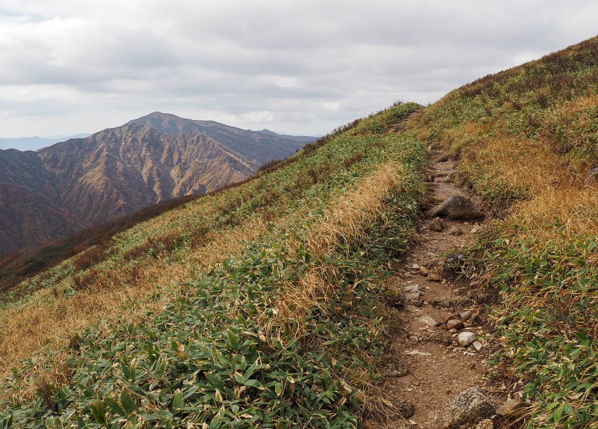 f:id:pft78526:20211105154134j:plain