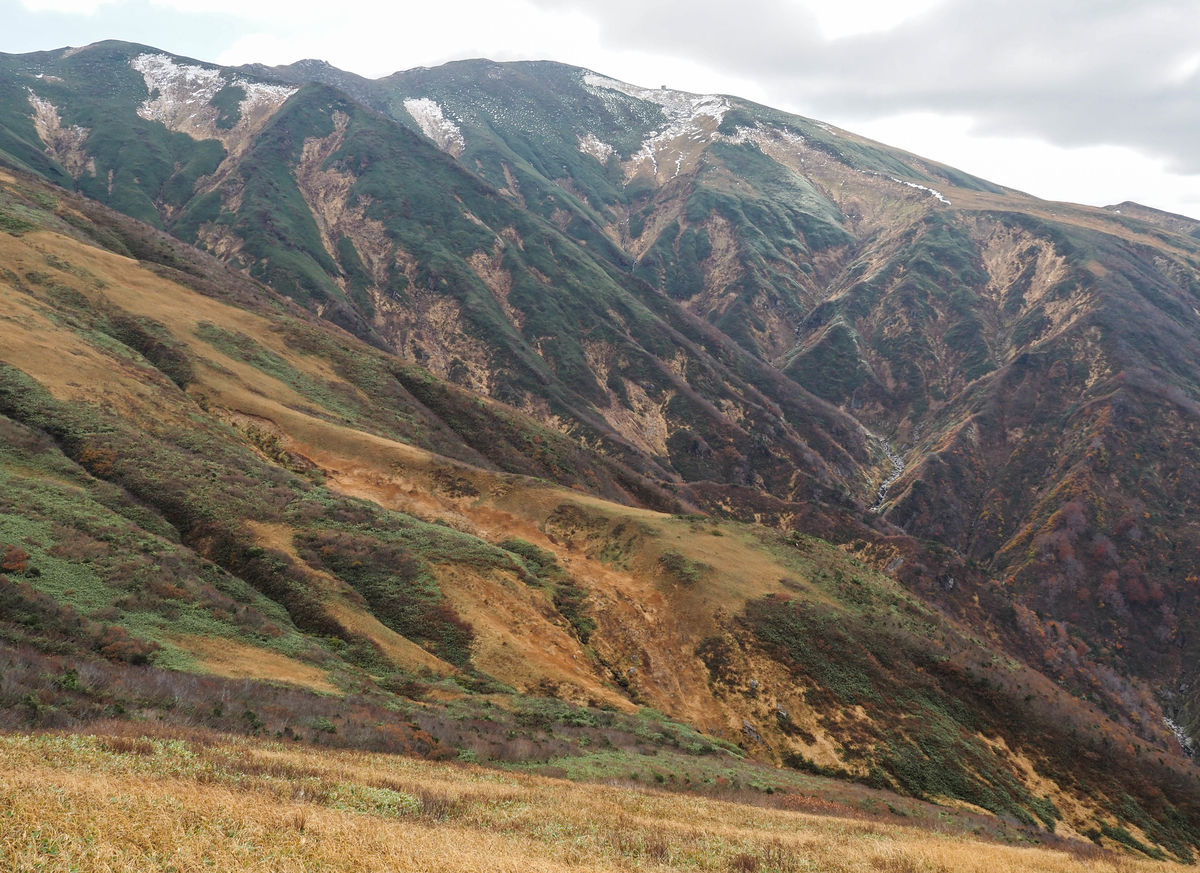 f:id:pft78526:20211105154157j:plain