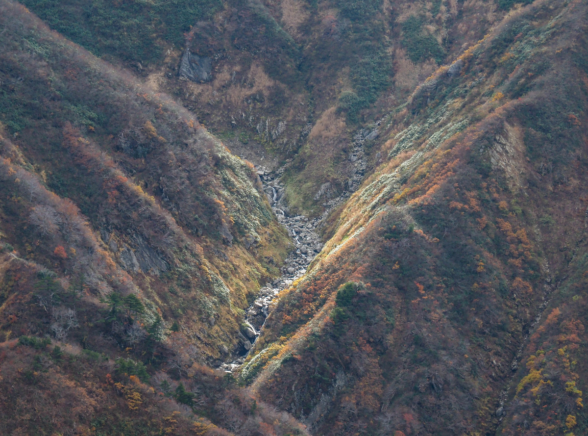 f:id:pft78526:20211105154205j:plain