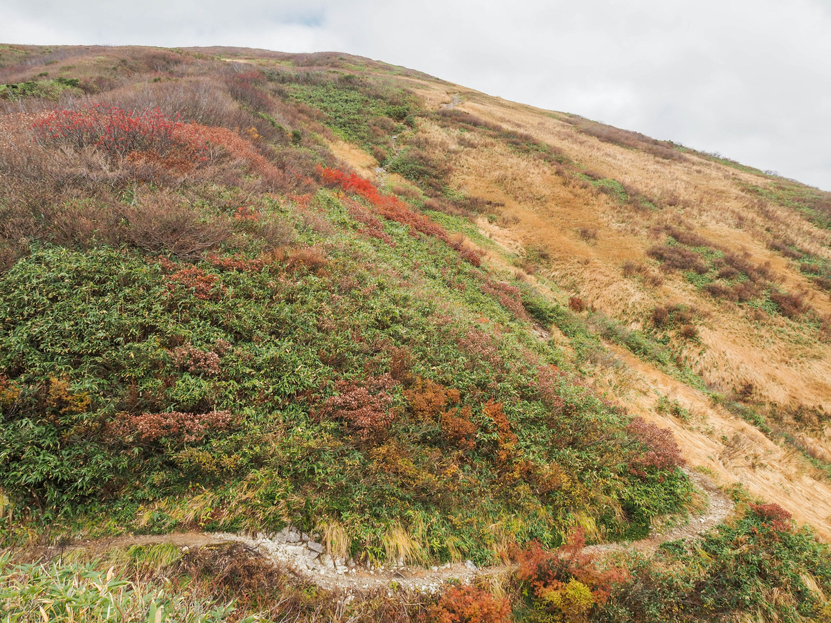 f:id:pft78526:20211105154239j:plain