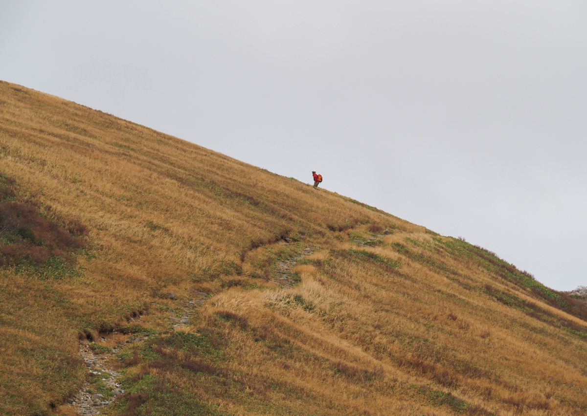 f:id:pft78526:20211105154302j:plain