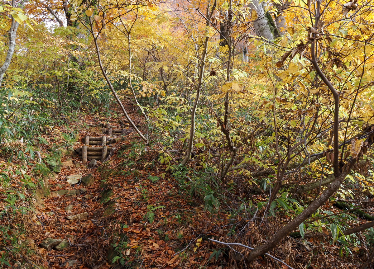 f:id:pft78526:20211105155135j:plain