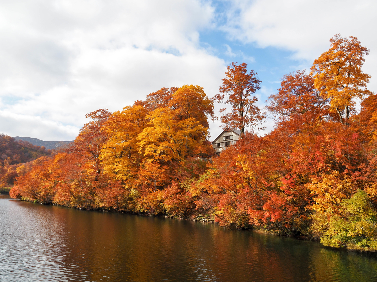 f:id:pft78526:20211105155349j:plain