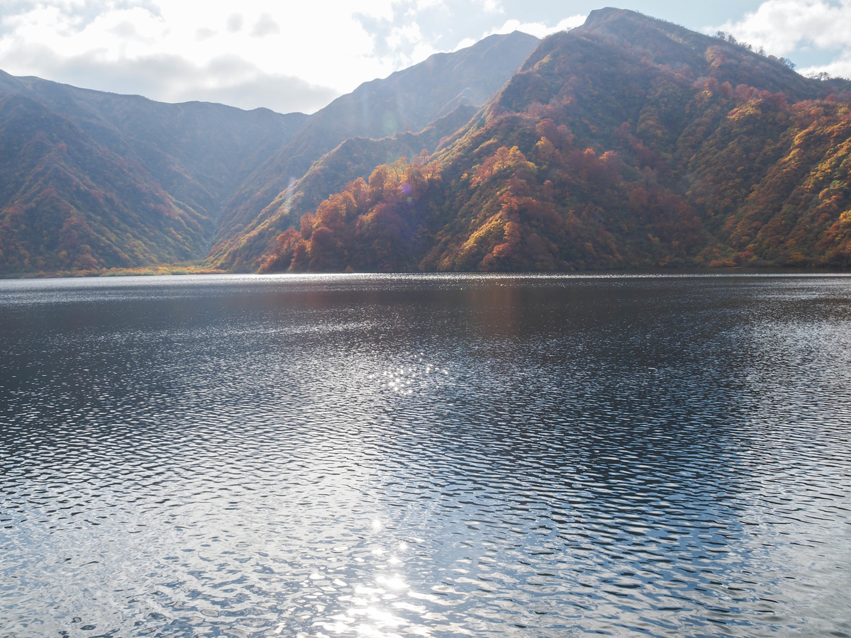 f:id:pft78526:20211105155355j:plain