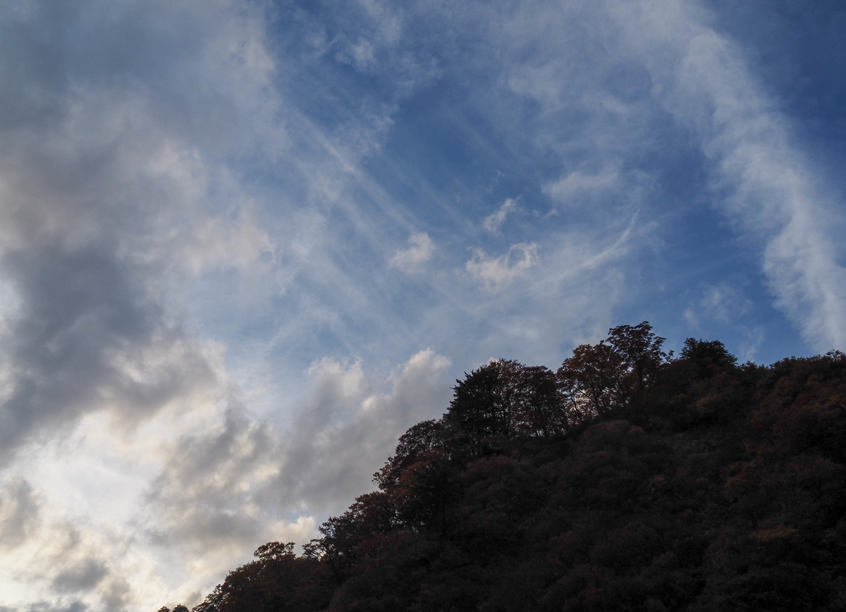 f:id:pft78526:20211105161323j:plain