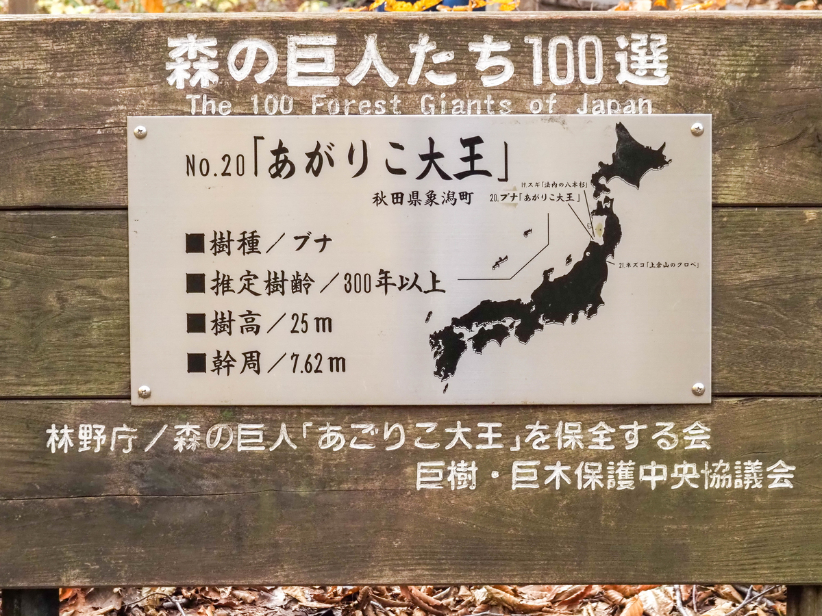 f:id:pft78526:20211109204640j:plain